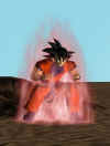 Goku5.jpg (13344 bytes)