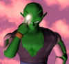 Piccolo1.jpg (24001 bytes)